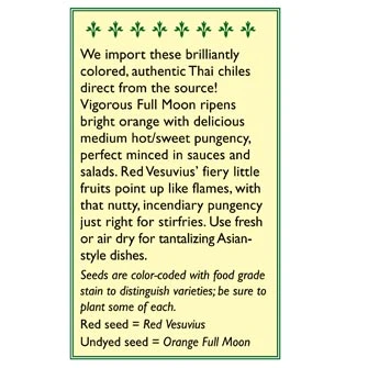 Renee's Garden Pepper Chile Thai Duo Orange Full Moon & Red Vesuvius 4 Renee's Garden Pepper Chile Thai Duo Orange Full Moon & Red Vesuvius - Billede 2
