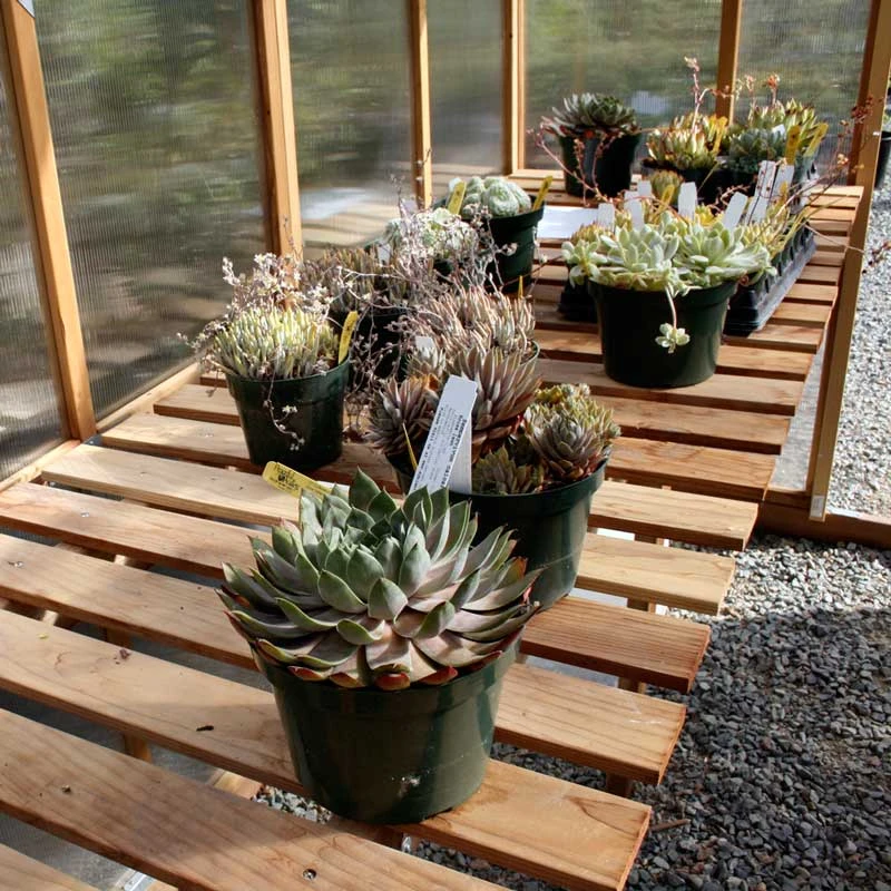 8' X 16' Greenhouse - Bench Kit (1 Bench) 3 8' X 16' Greenhouse - Bench Kit (1 Bench)