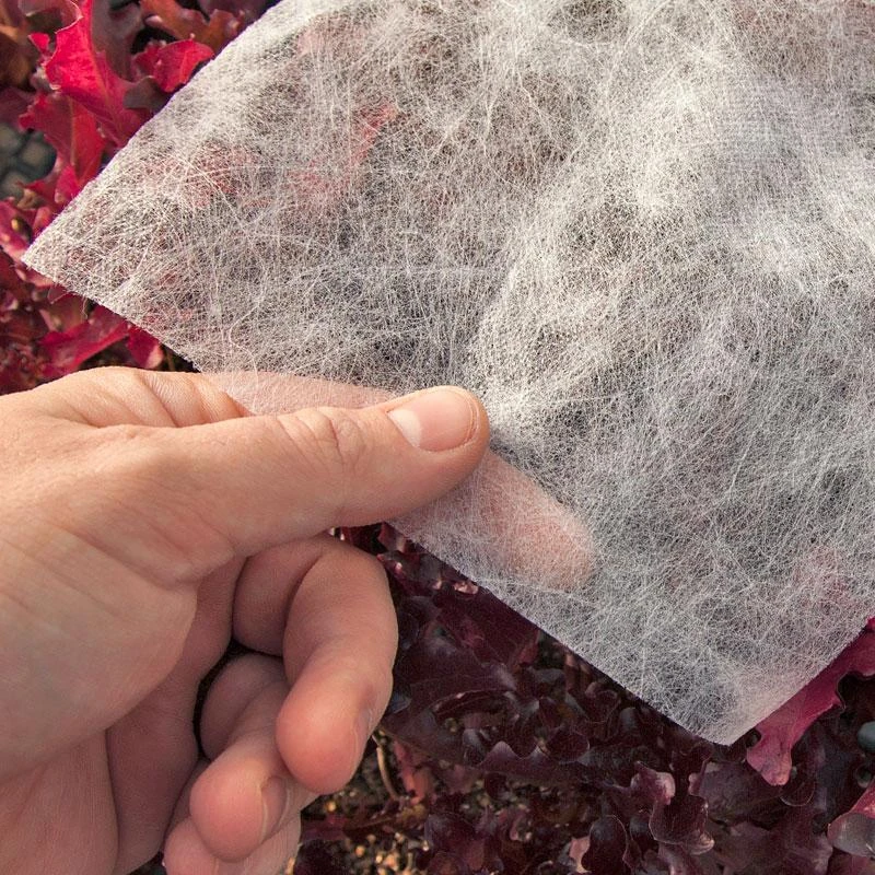 Agribon AG-15 Insect Barrier (10' X 2000') 3 Agribon AG-15 Insect Barrier (10' X 2000')