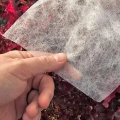 Agribon AG-15 Insect Barrier (10' X 500')