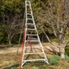 Aluminum Orchard Ladder (12')