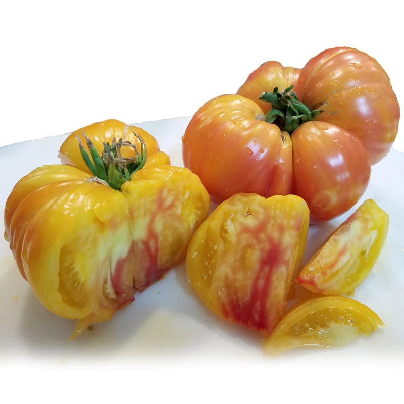 Big Rainbow Tomato Seeds (Organic) 4 Big Rainbow Tomato Seeds (Organic) - Billede 2