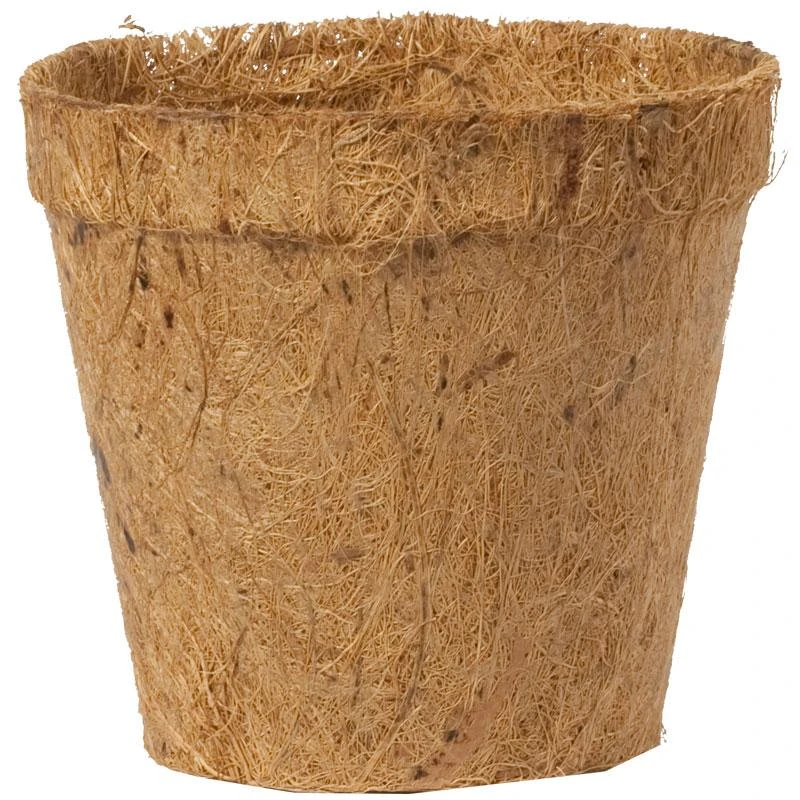 Coconut Fiber Round Pots - 2.25" (Pack Of 12) 3 Coconut Fiber Round Pots - 2.25" (Pack Of 12)