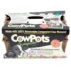 CowPots - 3" Square 6 Pack (Pack Of 3) -Felco Butik cowpots 3 square 6 pack pack of 3