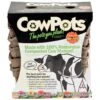 CowPots - 4" Square (Pack Of 12) -Felco Butik cowpots 4 square pack of 12