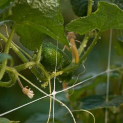 Hortonova Trellis (4' X 3280' Roll) -Felco Butik hortinova b 10