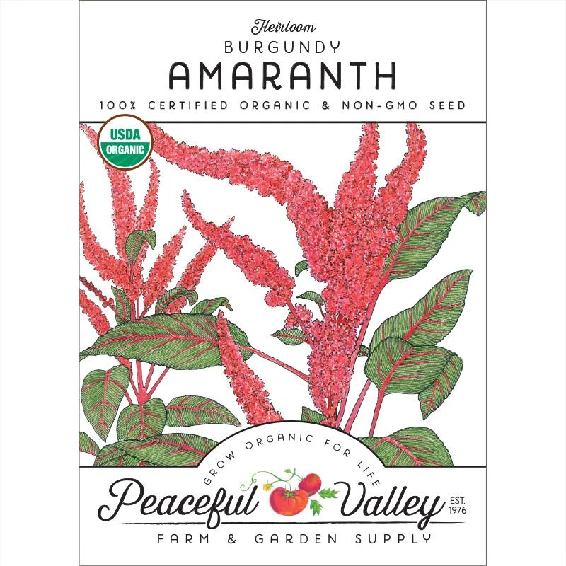 Burgundy Amaranth Seeds (Organic) 3 Burgundy Amaranth Seeds (Organic)
