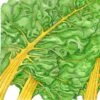Organic Chard, Yellow (1/4 Lb) -Felco Butik organic chard yellow 1 4 lb