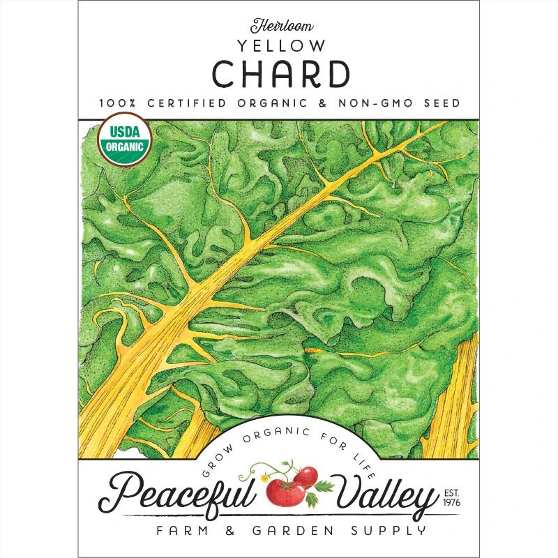 Yellow Chard Seeds (Organic) 3 Yellow Chard Seeds (Organic)
