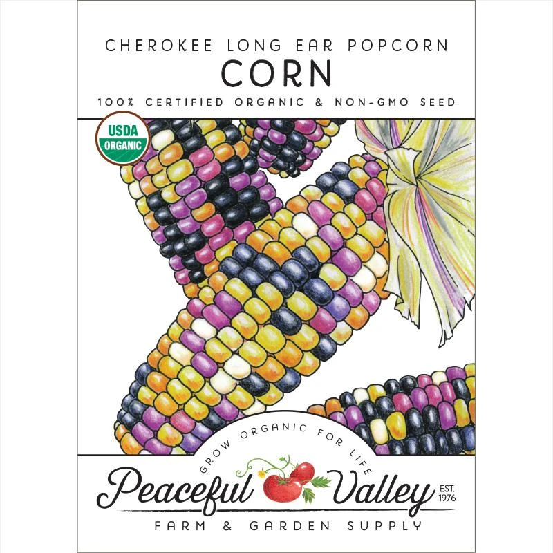 Cherokee Long Ear Popcorn Corn Seeds (Organic) 3 Cherokee Long Ear Popcorn Corn Seeds (Organic)