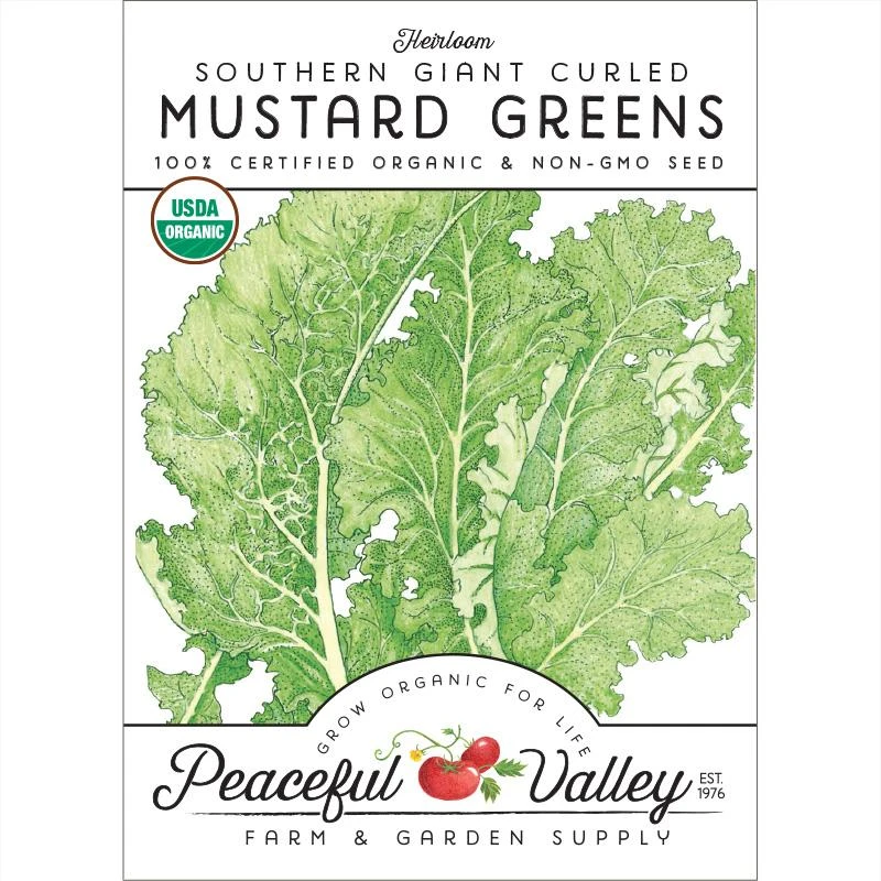 Mustard Southern Giant Curled Greens Seeds (Organic) 3 Mustard Southern Giant Curled Greens Seeds (Organic)