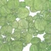 Organic Greens, Watercress (1 Oz)