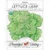 Black Seeded Simpson Lettuce Seeds (Organic) -Felco Butik organic lettuce black seeded simpson