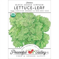 Black Seeded Simpson Lettuce Seeds (Organic)