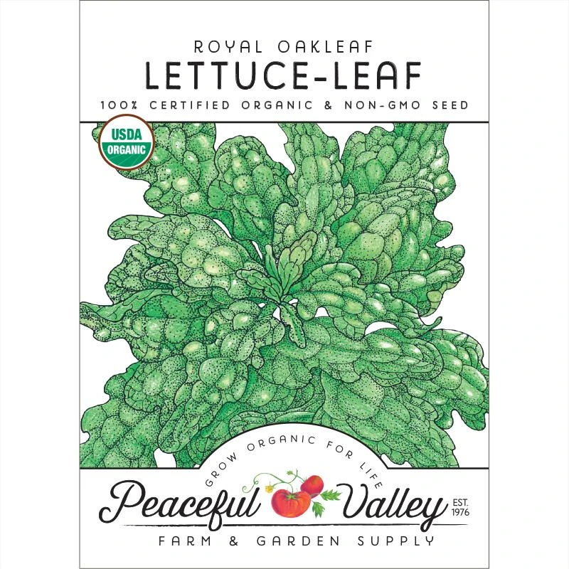 Royal Oakleaf Lettuce Seeds (Organic) 3 Royal Oakleaf Lettuce Seeds (Organic)
