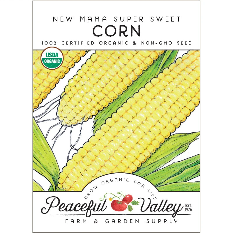 Sweet New Mama Corn Seeds (Organic) 3 Sweet New Mama Corn Seeds (Organic)