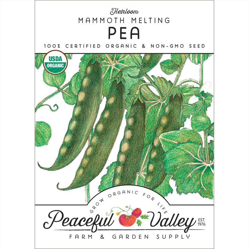 Mammoth Melting Pea Seeds (Organic) 3 Mammoth Melting Pea Seeds (Organic)