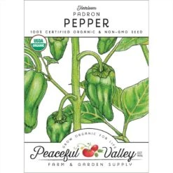 Padron Pepper Seeds (Organic)