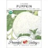 Casper Pumpkin Seeds (Organic) -Felco Butik organic pumpkin casper