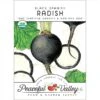 Black Spanish Radish Seeds (Organic) -Felco Butik organic radish black spanish