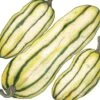Organic Squash, Winter Delicata (1 Oz) 1 Organic Squash, Winter Delicata (1 Oz) -Felco Butik organic squash winter delicata 1 oz