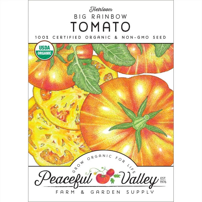 Big Rainbow Tomato Seeds (Organic) 3 Big Rainbow Tomato Seeds (Organic)