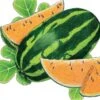 Organic Watermelon, Tendersweet Orange 1/4 Lb