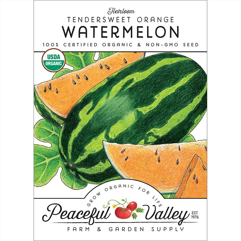 Tendersweet Orange Watermelon Seeds (Organic) 3 Tendersweet Orange Watermelon Seeds (Organic)