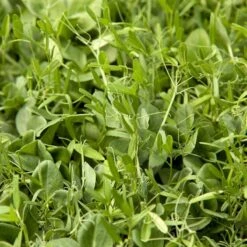 Peaceful Valley Nitro-Max Plow Down Mix Seed (lb)