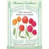 Renee's Garden Globe Amaranth Mardi Gras Parade (Heirloom) -Felco Butik renee s garden globe amaranth mardi gras parade heirloom