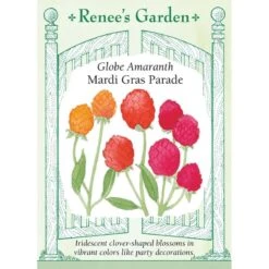 Renee's Garden Globe Amaranth Mardi Gras Parade (Heirloom)