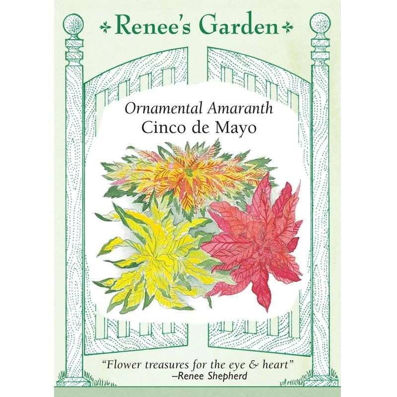 Renee's Garden Ornamental Amaranth Cinco De Mayo 3 Renee's Garden Ornamental Amaranth Cinco De Mayo