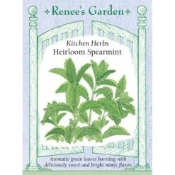 Renee's Garden Spearmint Italian (Heirloom)