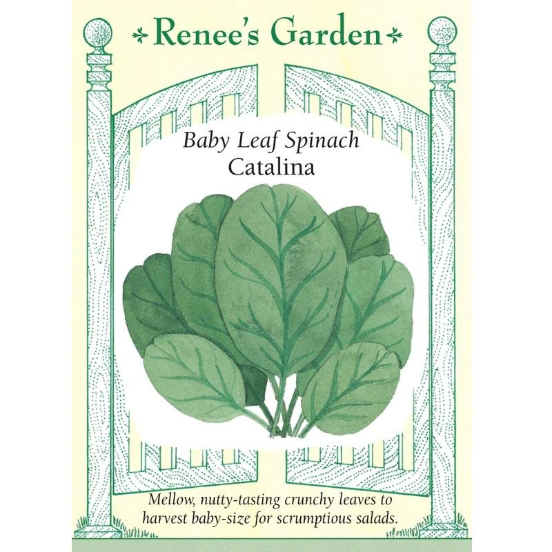 Renee's Garden Spinach Baby Leaf Catalina 3 Renee's Garden Spinach Baby Leaf Catalina
