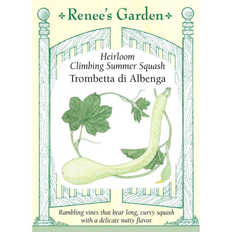 Renee's Garden Squash Summer Climbing Trombetta Di Albinga (Heirloom) 3 Renee's Garden Squash Summer Climbing Trombetta Di Albinga (Heirloom)