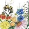 Save The Bees Wildflower Mix (1/4 Lb) -Felco Butik save the bees wildflower mix 1 4 lb