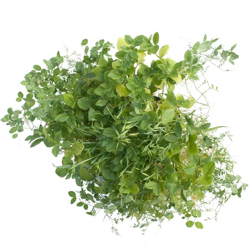 Peaceful Valley Premium Soil Builder Mix - Raw Seed (lb) 5 Peaceful Valley Premium Soil Builder Mix - Raw Seed (lb) - Billede 3