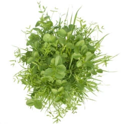 Peaceful Valley Budget Soil Builder Mix - Raw Seed (lb) -Felco Butik scm125 b