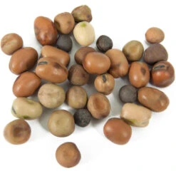 Peaceful Valley Nitro-Max Plow Down Mix Seed (lb) -Felco Butik scm360 1