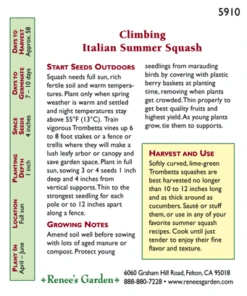 Renee's Garden Squash Summer Climbing Trombetta Di Albinga (Heirloom) 7 Renee's Garden Squash Summer Climbing Trombetta Di Albinga (Heirloom) -Felco Butik snv4050 pb