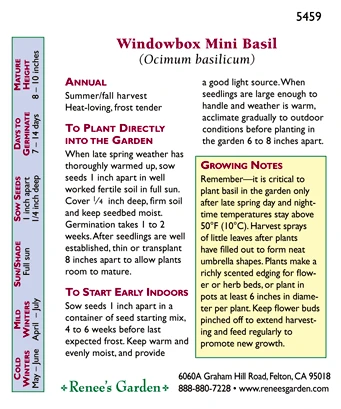Renee's Garden Basil Mini Windowbox 4 Renee's Garden Basil Mini Windowbox - Billede 2