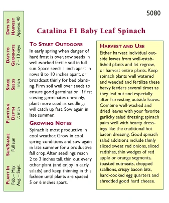 Renee's Garden Spinach Baby Leaf Catalina 5 Renee's Garden Spinach Baby Leaf Catalina - Billede 3