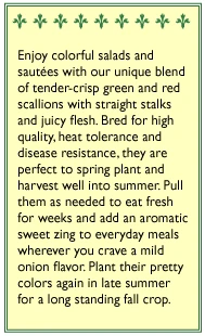 Felco Butik 7 Felco Butik -Felco Butik snv4112 flap