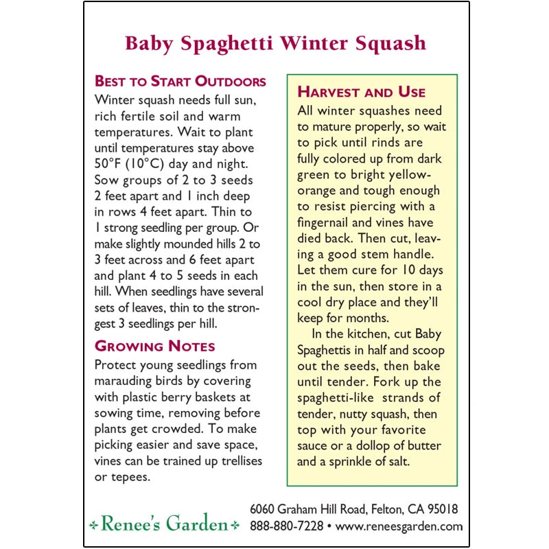 Renee's Garden Squash Winter Baby Spaghetti 4 Renee's Garden Squash Winter Baby Spaghetti - Billede 2