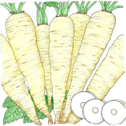 Felco Butik 16 Felco Butik -Felco Butik snv5440a 1