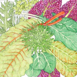 Felco Butik 12 Felco Butik -Felco Butik snv8088 new