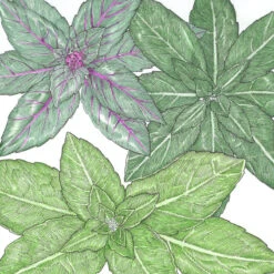 Felco Butik 26 Felco Butik -Felco Butik snv8361 a 1