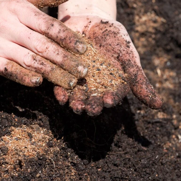 Felco Butik 45 Felco Butik -Felco Butik starts 123 768x768 1